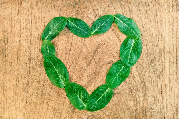 the leaves form heart on old wooden