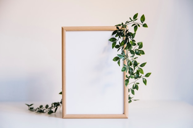 Leaves on frame