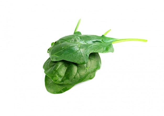 Leaves of green fresh spinach