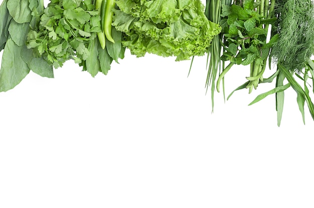 Leaves isolate of different types of greens on a white background.