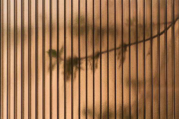 반투명 폴리카보네이트 시트 사이로 살아있는 나무의 잎사귀가 빛난다