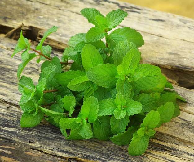 Leaves of mint on wood