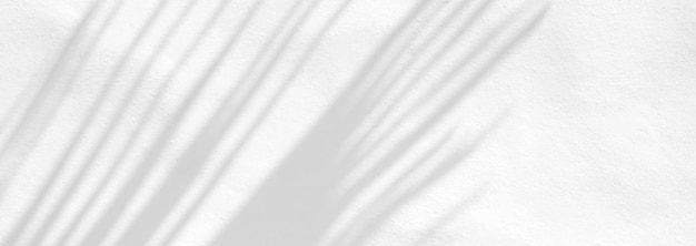製品プレゼンテーションの背景とモックアップ バナー スタイルのオーバーレイのための白いテクスチャ背景に自然な影のオーバーレイを残します