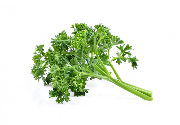 Photo leaves of parsley isolated