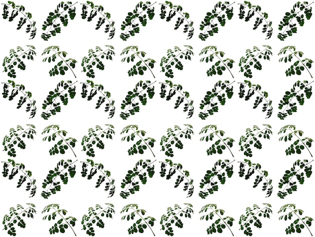 Leaves pattern background