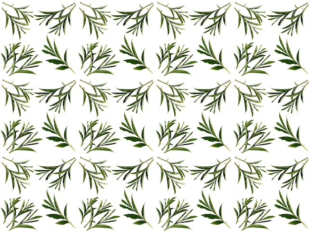 흰색 배경에 나뭇잎 패턴