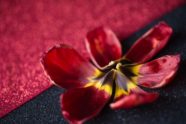 Leaves And Red Glitter Background, Red Tulip With Glitter Background