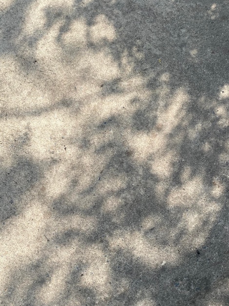 木の床のテクスチャに影の背景を残します太陽光で木の枝を残します