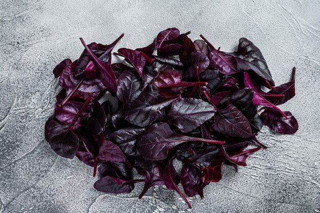 Leaves of Swiss red chard or Mangold salad. White background. Top view.