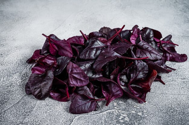 Photo leaves of swiss red chard or mangold salad