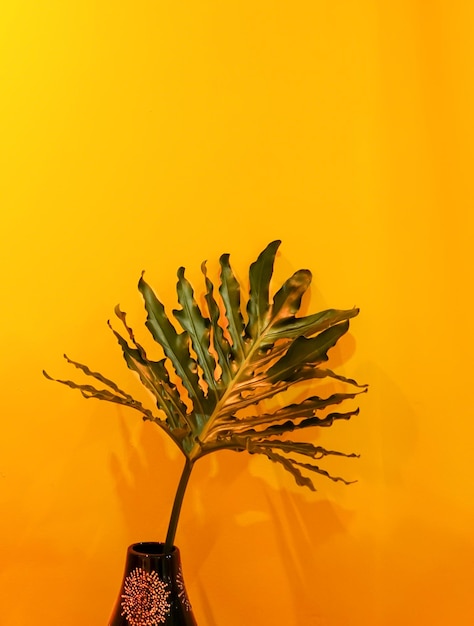 leaves in a vase on the table on the yellow wall