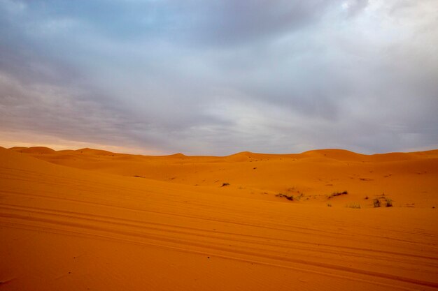 Leaving sahara desert after sunrise