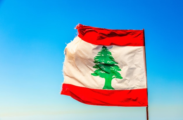 Lebanese red and white with green cedar tree flag waving on the wind with blue sky Byblos Lebanon