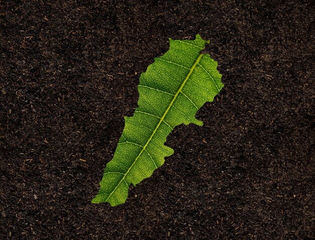 Lebanon map made of green leaves on soil background ecology concept