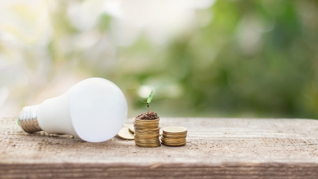 LED bulb on coin stacks with growing plant