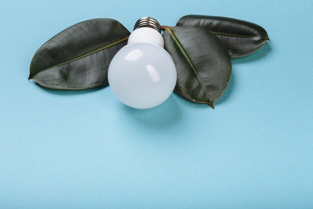 LED-lamp met groen blad ECO energieconcept Gemengde media Geïsoleerde plaats voor bijschrift en tekst