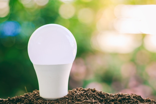 LED light bulb on soil against blurred natural green background 