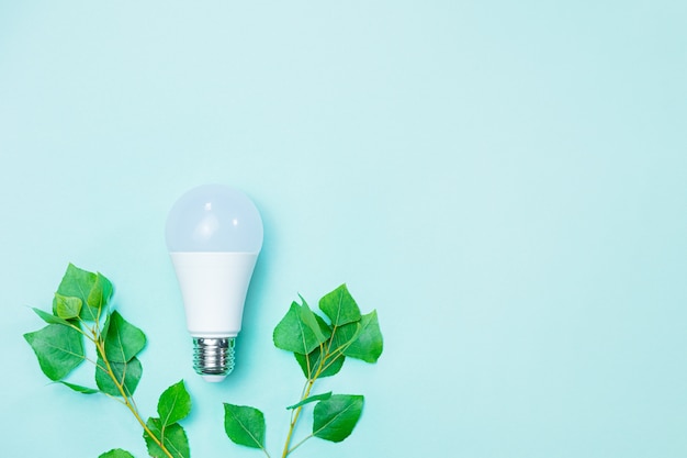 Светодиодная лампочка и ветви с зелеными листьями символизируют заботу об окружающей среде и экономят электроэнергию для сохранения природы