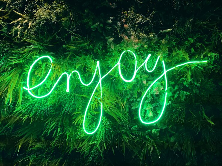 LED sign with Enjoy word