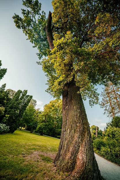 Foto lednice chateau met prachtige tuinen en parken lednicevaltice landschap zuid-moravische regio unesco werelderfgoed