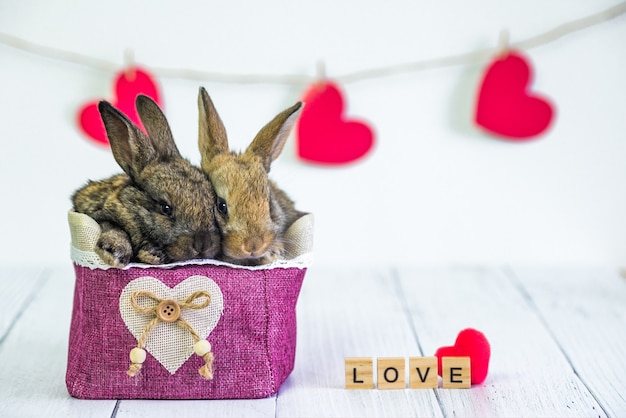 Leef Bunny aan een mand met een rood hart. Kaart met een dier op Valentijnsdag.