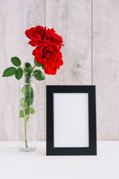 Leeg afbeeldingsframe en mooie rode bloemen in vaas