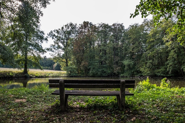 Leeg bankje in het park bij het meer tegen de lucht