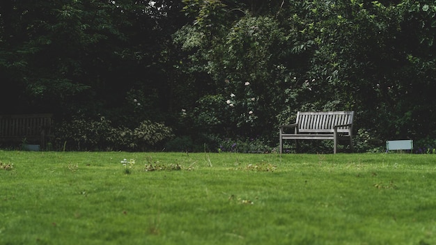 Leeg bankje op het veld tegen de bomen.