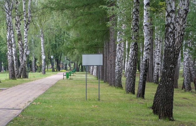 Leeg bord in het park bij het pad op de achtergrond van bomen