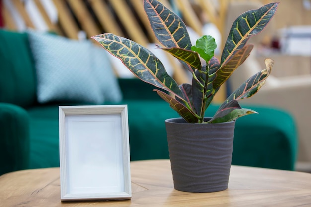 Leeg fotolijstje en bloem in een bloempot op tafel