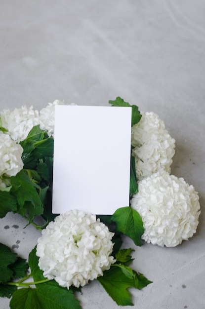 Leeg frame en boeket van witte bloem hortensia in een vaas op grijze achtergrond