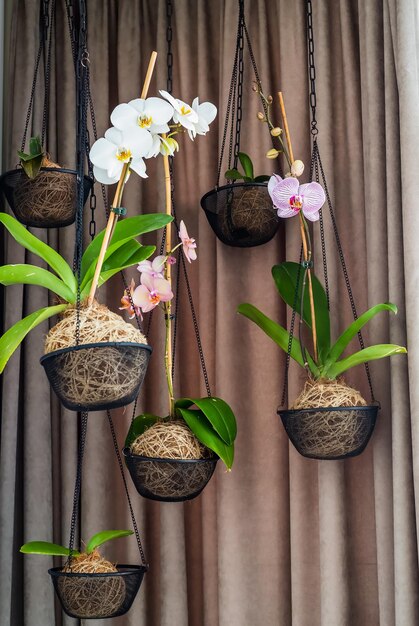 Foto leeg hangende pot voor orchideeën tegen een witte bakstenen muur