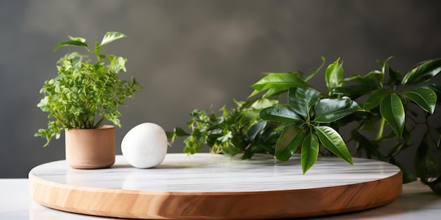 Leeg houten rond bord op een marmeren aanrecht met planten op de achtergrond