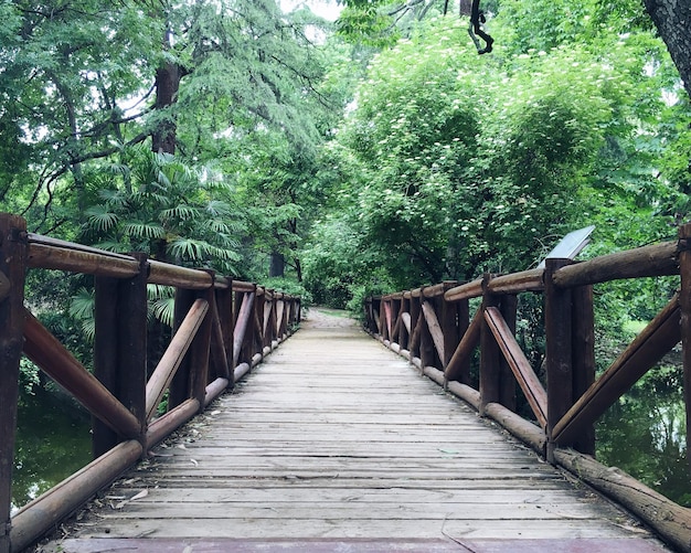 Leeg houten voetgangersbrug over de rivier tegen bomen in het bos