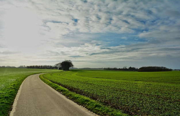 Leeg landweg