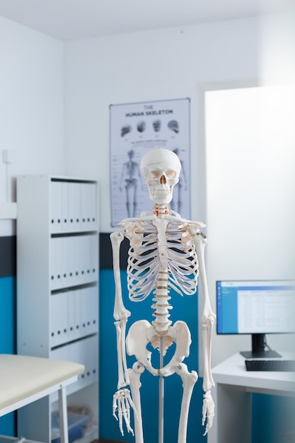 Leeg medisch kantoor uitgerust met anatomisch menselijk skelet klaar voor osteopathieconsultatie. Ziekenhuiswerkplek met niemand erin, met model van lichaamsstructuur. geneeskunde concept