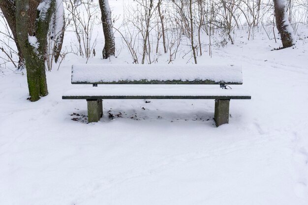 Foto leeg met sneeuw bedekte bank door kale bomen in het park