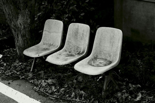Foto leeg oude stoelen bij planten.