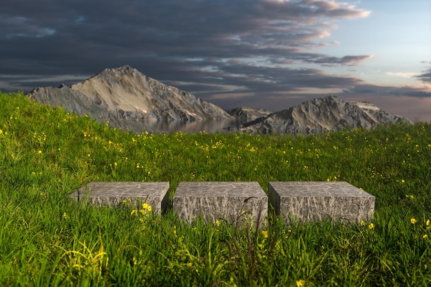 Leeg platform in het grasveld 3D-rendering