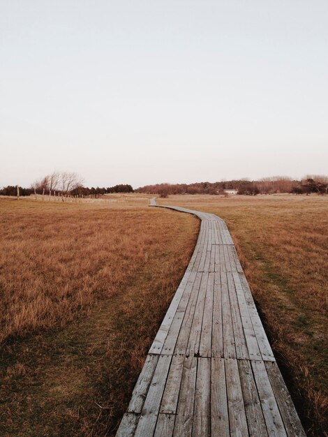 Foto leeg promenade op een grasveld tegen een heldere lucht