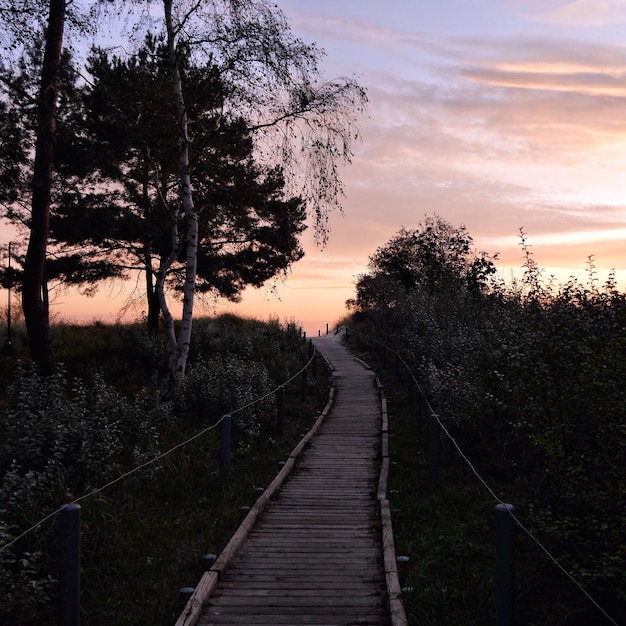 Foto leeg promenade te midden van bomen tegen de hemel bij zonsondergang