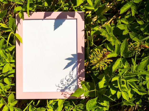 Leeg roze frame op echte natuur achtergrond creatief idee met leeg frame voor uw ideeën