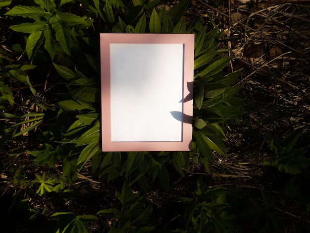 Leeg roze frame op echte natuur achtergrond creatief idee met leeg frame voor uw ideeën