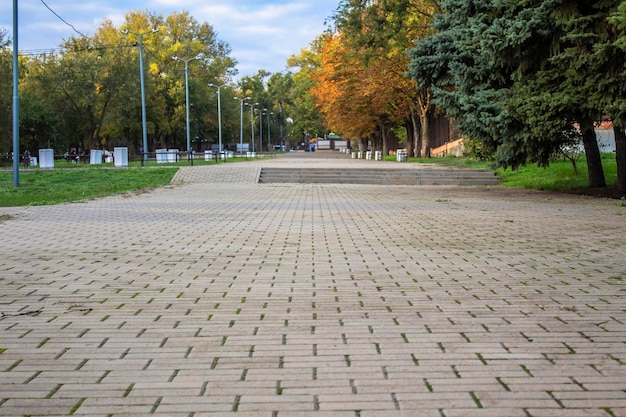 Leeg steegje door groene lommerrijke bomen Stadssteeg