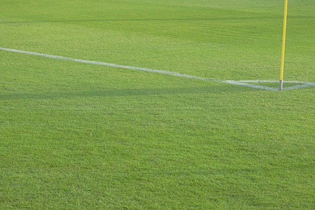 Leeg voetbalvoetbalveld met witte tekens, groene grastextuur.
