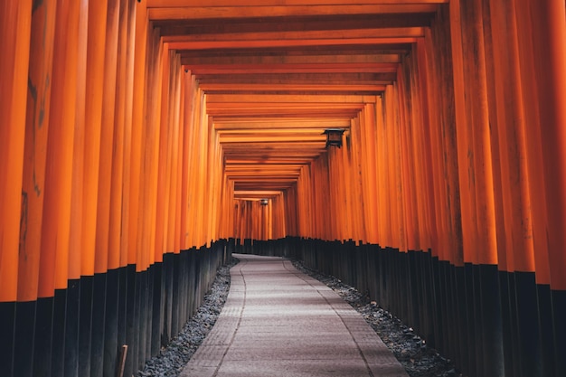 Leeg voetpad bij Torii Gate.