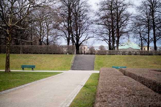 Foto leeg weg in het park.