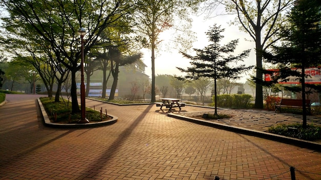 Leeg weg in het park.