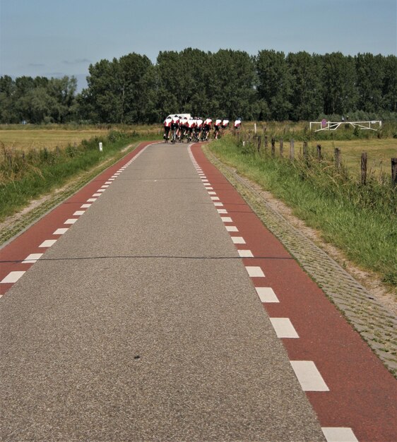 Leeg weg langs bomen