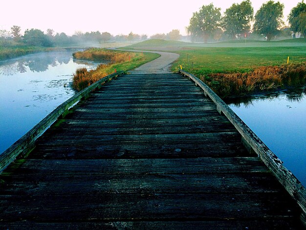 Foto leeg weg langs bomen